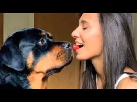 dog lick <strong>pussy</strong> babe. . K9 licking wet pussy lips of te